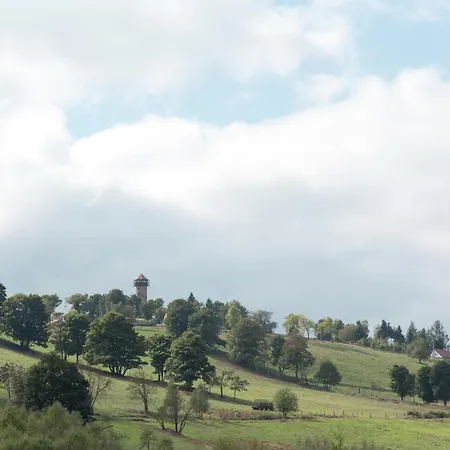 Majestic In Deutschneudorf, Cleaning Included *